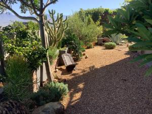 a garden with a bench and some plants at Cozy Garden apartment with amazing view in Cape Town