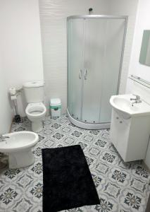 La salle de bains est pourvue d'une douche, de toilettes et d'un lavabo. dans l'établissement Cabana Stejarul, à Botoşani