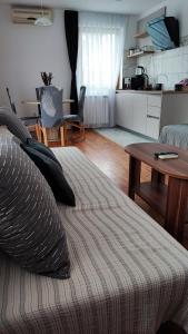 a bedroom with a bed and a table and a kitchen at Pansion Villa Cancar in Grabovac