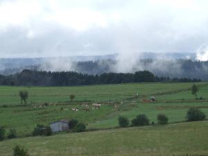 Fotografie z fotogalerie ubytování Gästehaus Jütten v destinaci Hellenthal