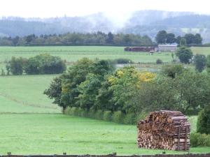 Fotografie z fotogalerie ubytování Gästehaus Jütten v destinaci Hellenthal
