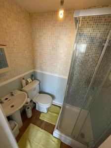a bathroom with a shower and a toilet and a sink at Nevele in Blackpool