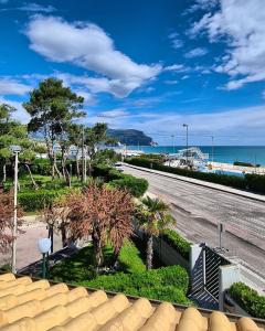 an empty street with palm trees and the ocean at Il Poggiolo di Levante - Piscina e Ombrellone spiaggia prima fila incluso in Marcelli