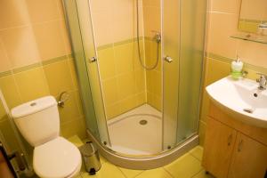Turistická ubytovňa BUCK** في Tornaľa: حمام مع دش ومرحاض ومغسلة