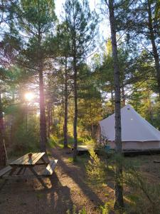 Příroda nedaleko luxury tent + 33 fotografií