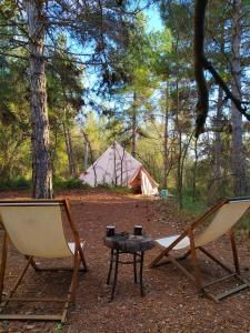 Příroda nedaleko luxury tent