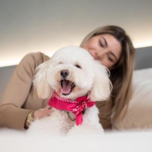 Ospiti di Arryvo Hotel con animali domestici