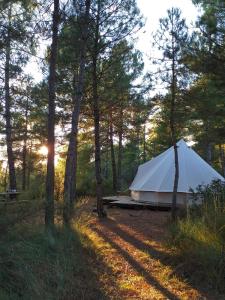 Příroda nedaleko luxury tent