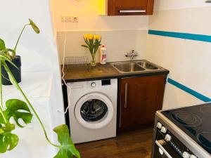 Kuchyňa alebo kuchynka v ubytovaní Jungle Apartment - Gdynia Centrum