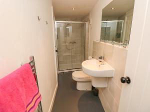 a bathroom with a toilet and a sink and a shower at 1 Tulse Hill Cottages in Ventnor +27 photos