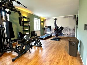 Fitness centrum a/nebo fitness zařízení v ubytování Atrium Hotel Amadeus