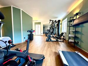 Fitness centrum a/nebo fitness zařízení v ubytování Atrium Hotel Amadeus