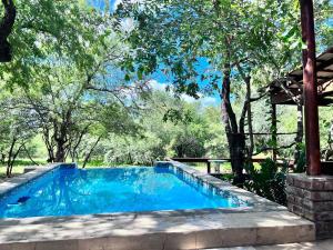 una piscina blu con alberi sullo sfondo di Turaco Lodge - No Loadshedding a Marloth Park