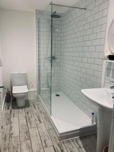 a bathroom with a shower and a toilet and a sink at Sailors Snug in Beadnell
