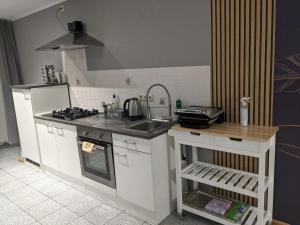 a kitchen with a sink and a counter top at Ferienwohnung Ela in Bexbach