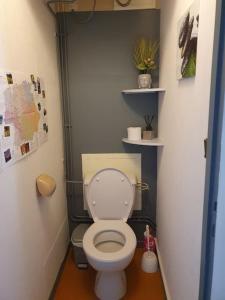 ein Bad mit einem weißen WC in einem Zimmer in der Unterkunft Studio 2 lits . 500m des thermes. 1 km du Lac in Cazaubon