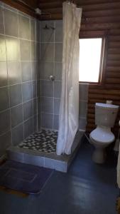 a bathroom with a shower and a toilet at Eland Valley Resort in Underberg