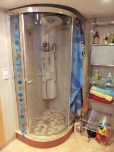 a bathroom with a shower with a toilet in it at Urlaub am Inn in Wasserburg am Inn +7 photos