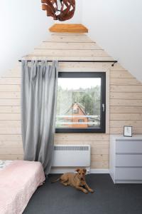 a dog laying next to a window in a bedroom at Ostoja Notecka in Wieleń