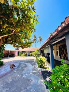 a dog laying on the ground next to a building at Sun Shine Guest House in Negombo