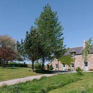 uma grande casa de pedra com uma árvore em frente em Cuttieshillock em Banchory