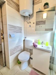 een kleine badkamer met een toilet en een wastafel bij Studio Apartment Lino in Skrbčići
