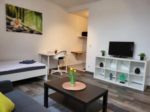 ein Wohnzimmer mit einem Sofa, einem TV und einem Tisch in der Unterkunft CityApartment Platinum-Zentrum mit Parkplatz in Bielefeld
