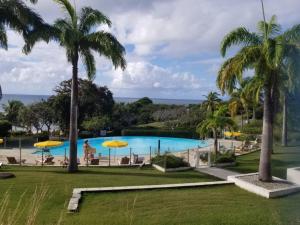 Blick auf einen Pool mit Palmen in der Unterkunft Studio avec vue mer exceptionnelle, plage et piscine, Village Vacances Sainte-Anne in Sainte-Anne