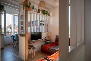 a living room with a couch and a tv at La Chouette du lac Marion in Biarritz