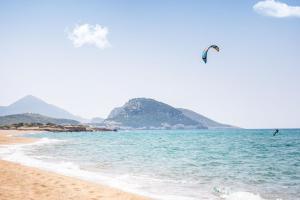 a bird flying over the water on a beach at The Westin Resort, Costa Navarino in Romanu