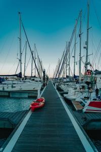 a dock with several boats parked in the water at Valéria, uma noite de sonho in Lisbon