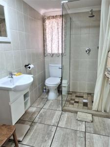 a bathroom with a toilet and a sink and a shower at Yellowwood Cottage in Himeville