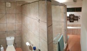 a bathroom with a shower and a toilet at Acra-Retreat Mountain View Lodge in Waterval Boven