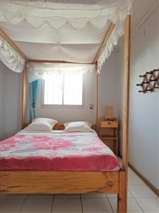 1 dormitorio con cama con dosel y ventana en Chez Jeanne Auberge en Talata-maty