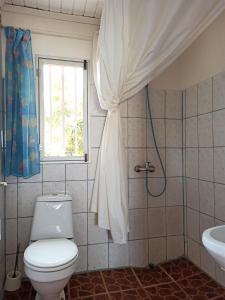 a bathroom with a toilet and a window and a sink at Chez Jeanne Auberge in Talata-maty