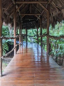 德雷克的住宿－Corcovado Mountain House，森林中木人行道上的桥梁