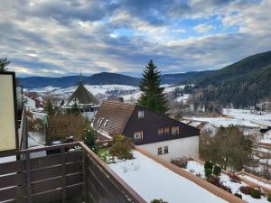 uma vista da varanda de uma casa na neve em Bärbel, im Schwarzwald-Stil em Baiersbronn