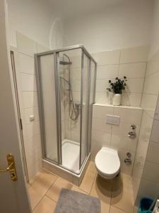 a bathroom with a shower and a toilet at Studio Apartment im Palais Fleur Blanche in Potsdam +8 photos