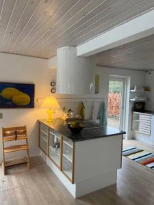 uma cozinha com bancada num quarto em Skønt hus på landet tæt på Billund em Give