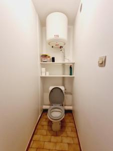 uma casa de banho com um WC com uma luz por cima em STUDIO CALME 22 m2 CENTRE VILLE NANTUA em Nantua