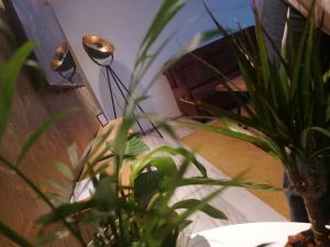 Fotografie z fotogalerie ubytování Apartman Lipa v destinaci Slavonski Brod