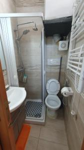 uma pequena casa de banho com chuveiro e WC em CASA VACANZE DI MARILENA em Vietri