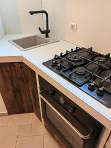 a stove top oven in a kitchen with a sink at House for rent Didova kuća in Makarska