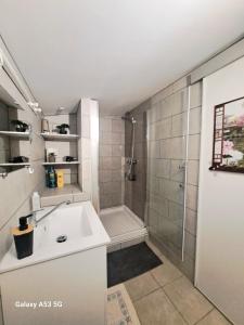 ein Bad mit einer Badewanne, einem Waschbecken und einer Dusche in der Unterkunft Ecoutez les oiseaux in Lunel