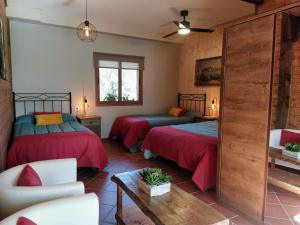ロサル・デ・ラ・ベラにあるHotel Rural La Covachaのリビングルーム(ベッド2台、ソファ付)