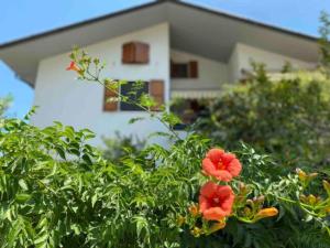 A garden outside Via Verdi 14