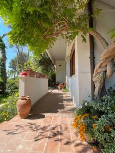 A garden outside Via Verdi 14