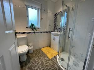 a bathroom with a toilet and a shower and a sink at Ferguson House in Airdrie
