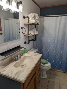 a bathroom with a sink and a toilet and a mirror at Anvil Campground in Williamsburg