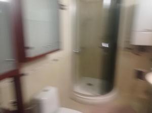 ein verschwommenes Bild eines Badezimmers mit WC in der Unterkunft Apartament Tadeusz 2 B in Krynica-Zdrój